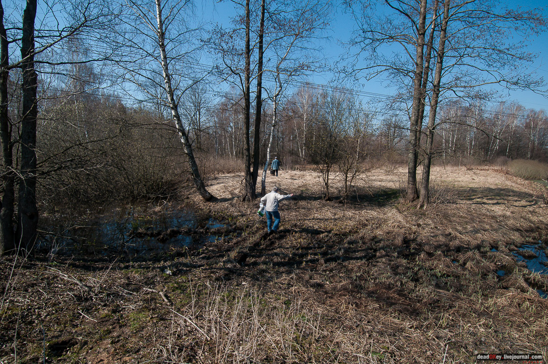 усадьба Савинское (исследование масонского парка)