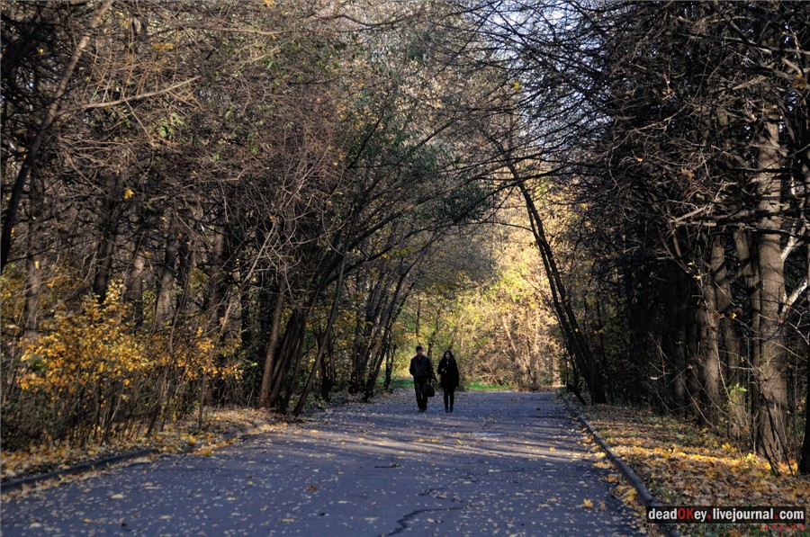 усадьба Кусково и Плющево