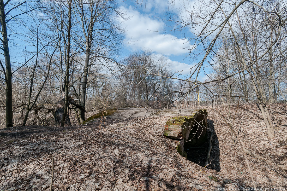 Усадьба Пущино-на-Оке