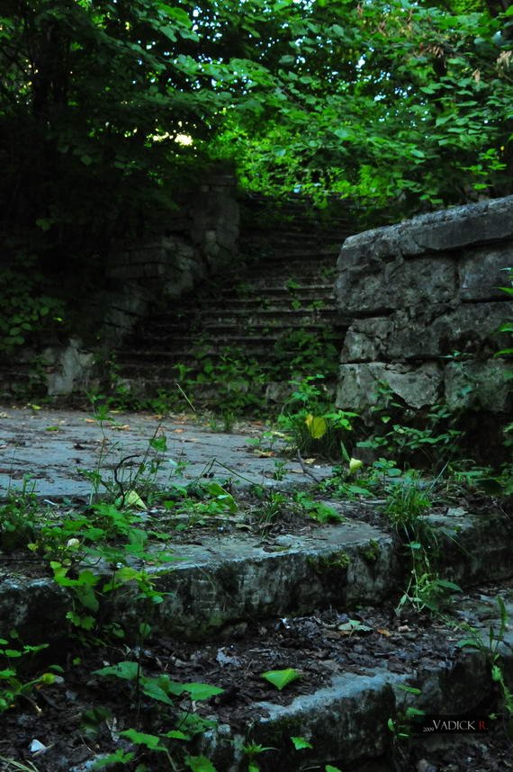 Александр Гринберг. Фотографии