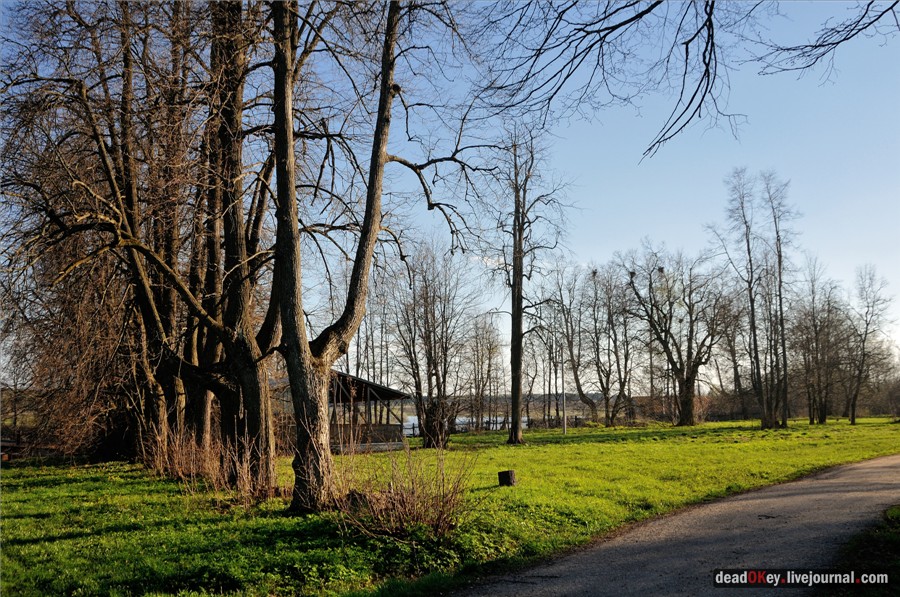 усадьба Черкутино
