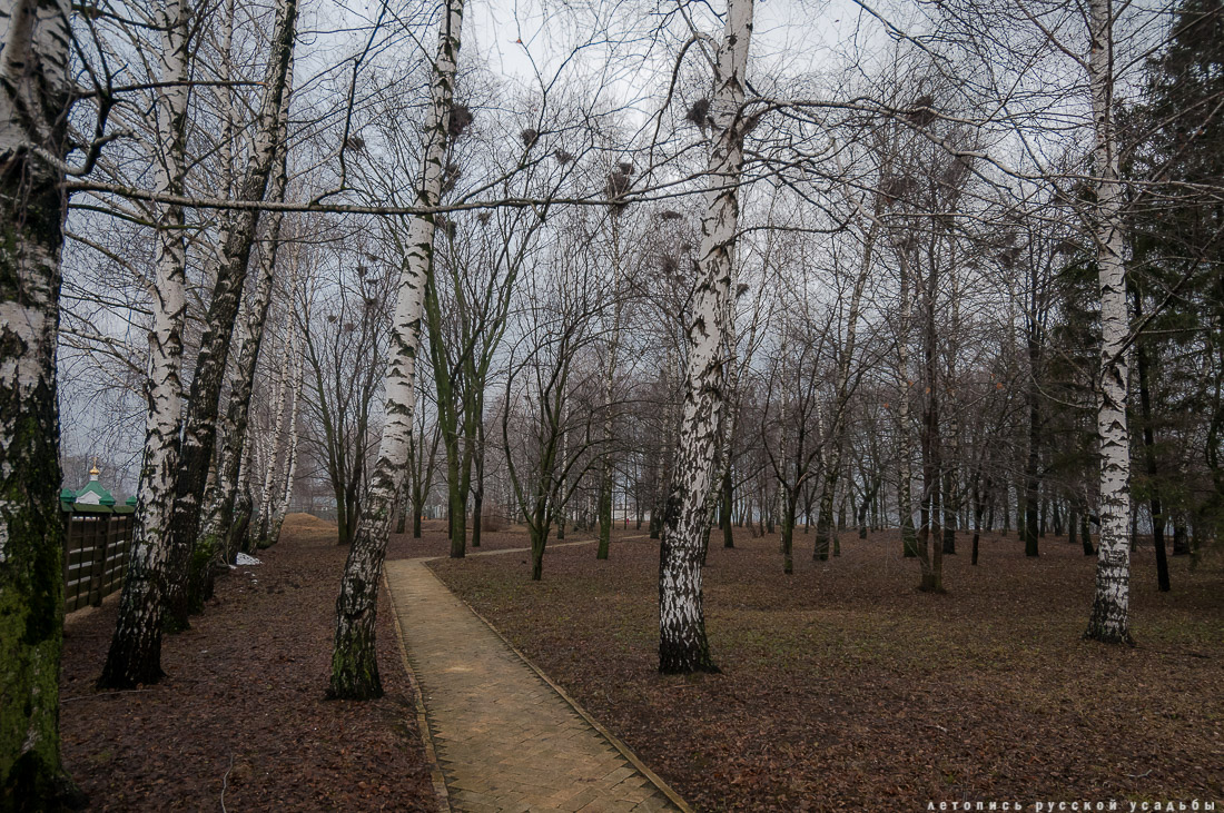 Усадебный экспресс в Константиново
