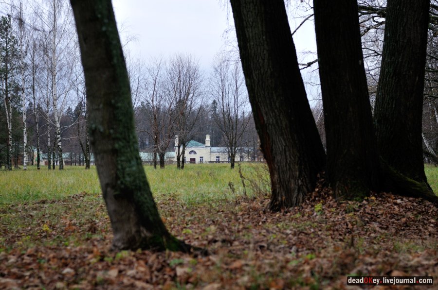 усадьба Горки Ленинские