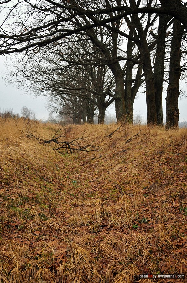 усадьба Савинское