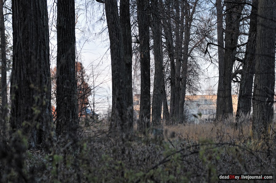 усадьба Ивановское