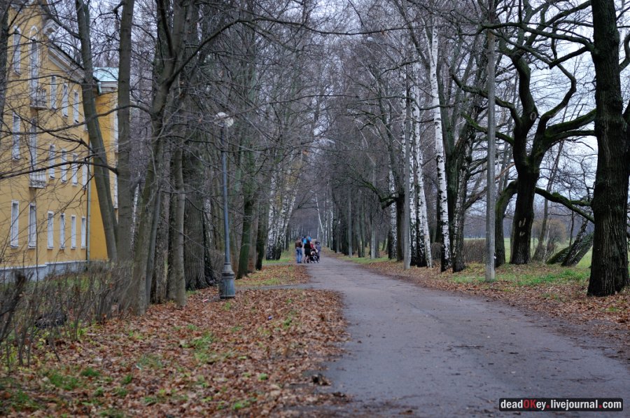 усадьба Горки Ленинские