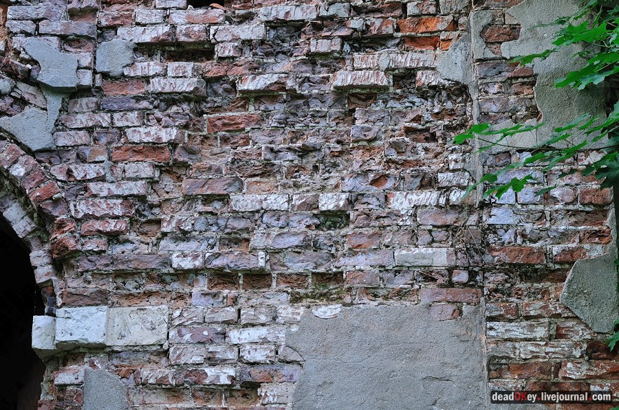 усадьба Клины