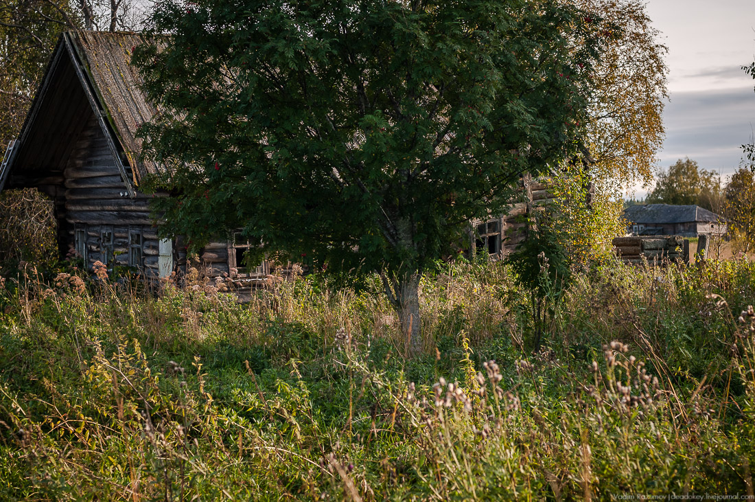 дер. Кучепалда, Архангельская обл.