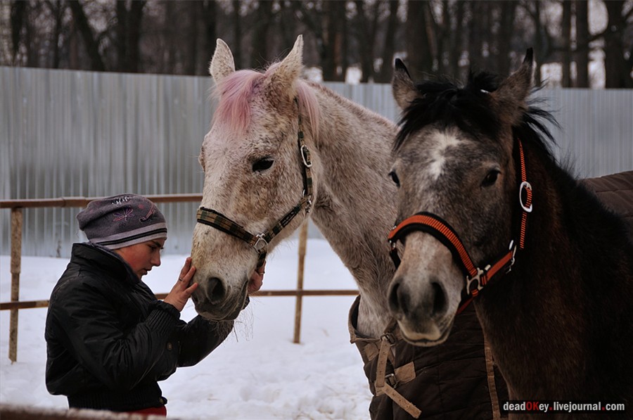 усадьба Успенское