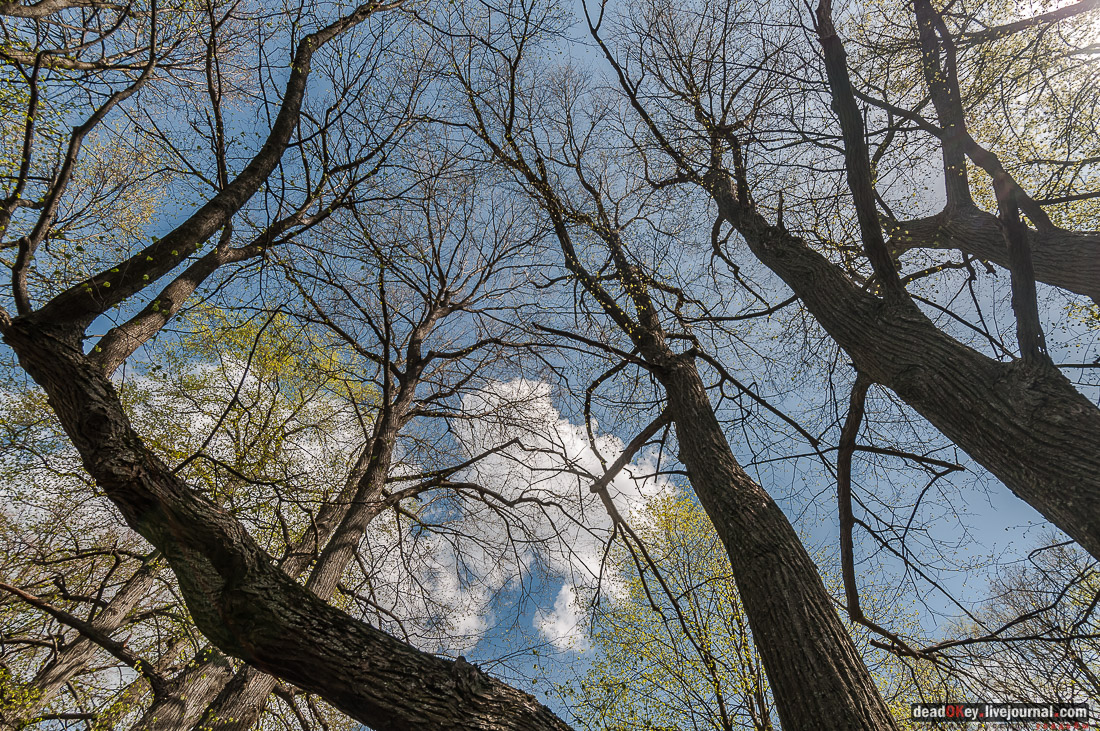 усадьба Дорожаево