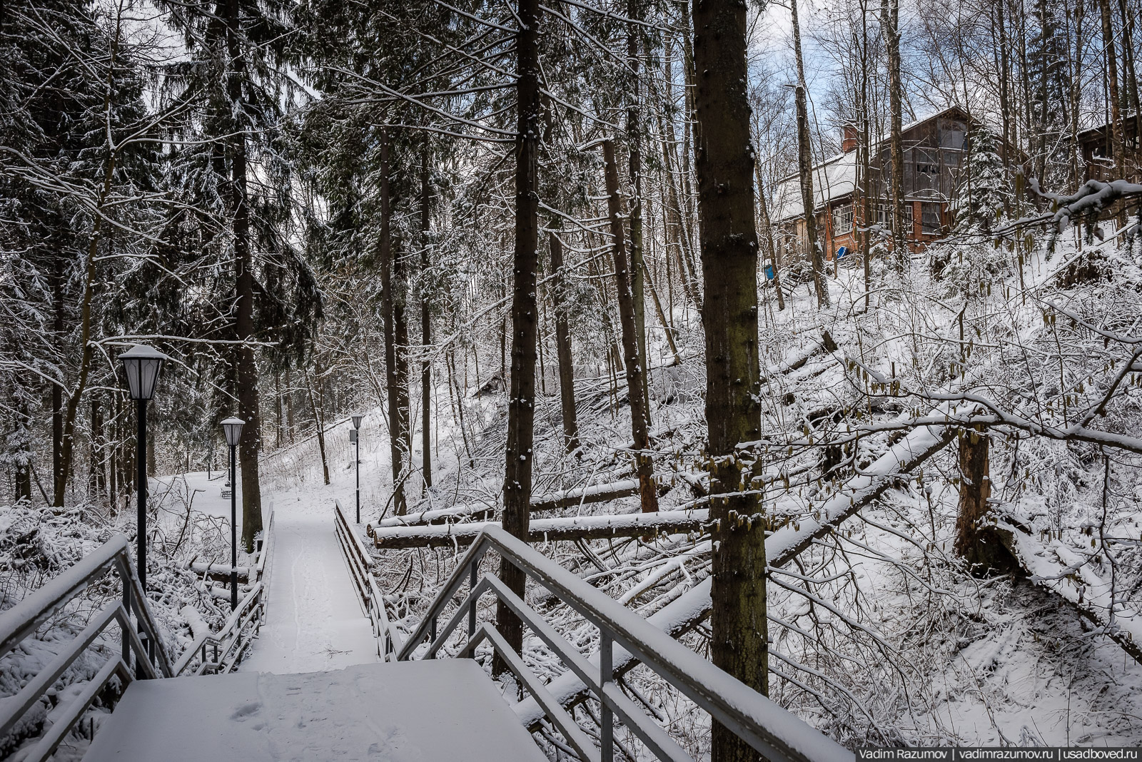 усадьба Абрамцево, 2020 год, зима, последний снег