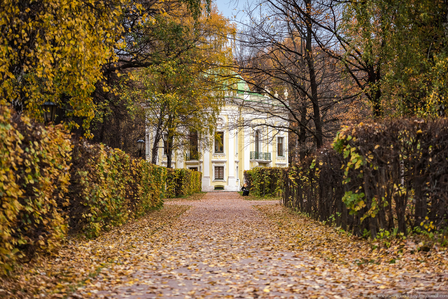 усадьба Кусково, осень 2018 года