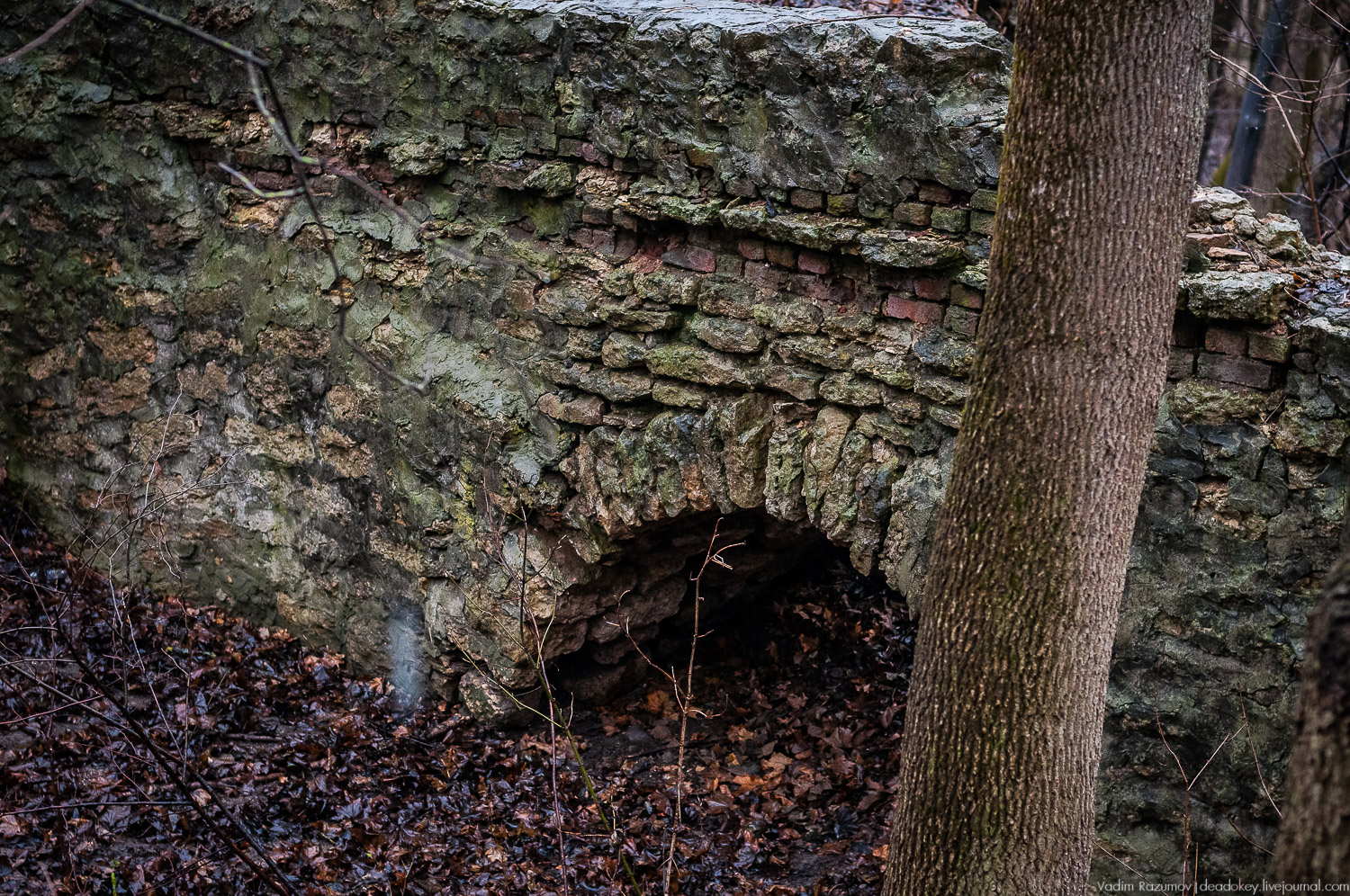 усадьба Пальна-Михайловка, аудиогид по усадбе, фото Вадим Разумов