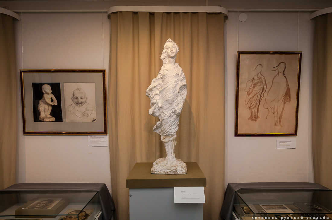 Усадебный экспресс. Зарайск.