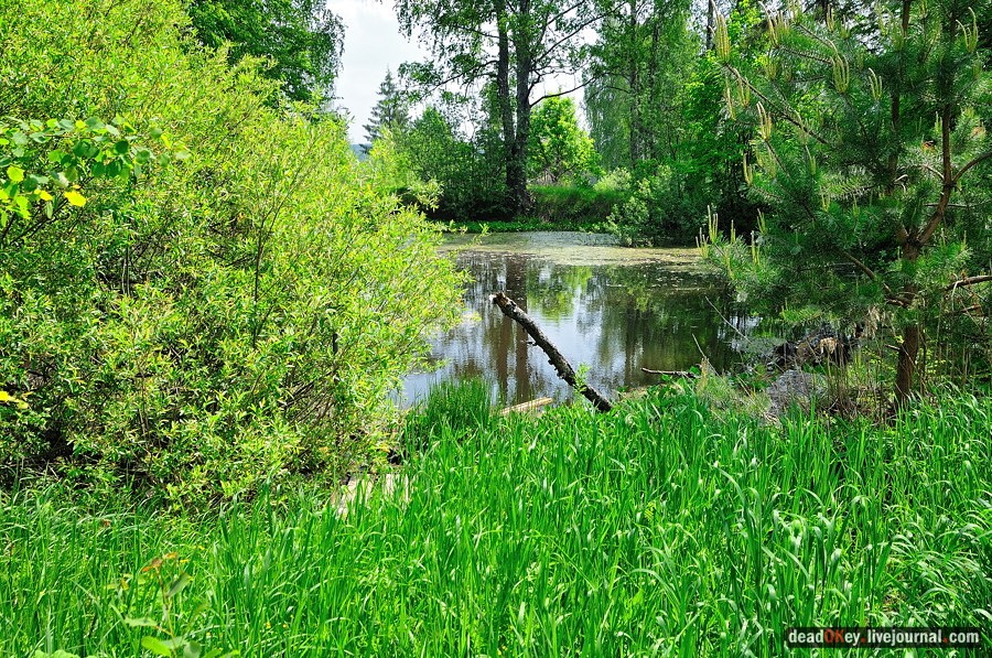 усадьба Спасское