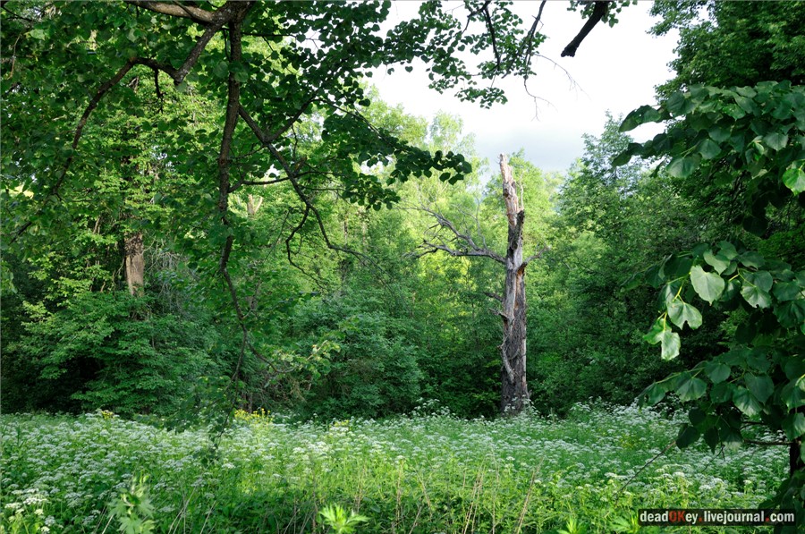 усадьба Завалино