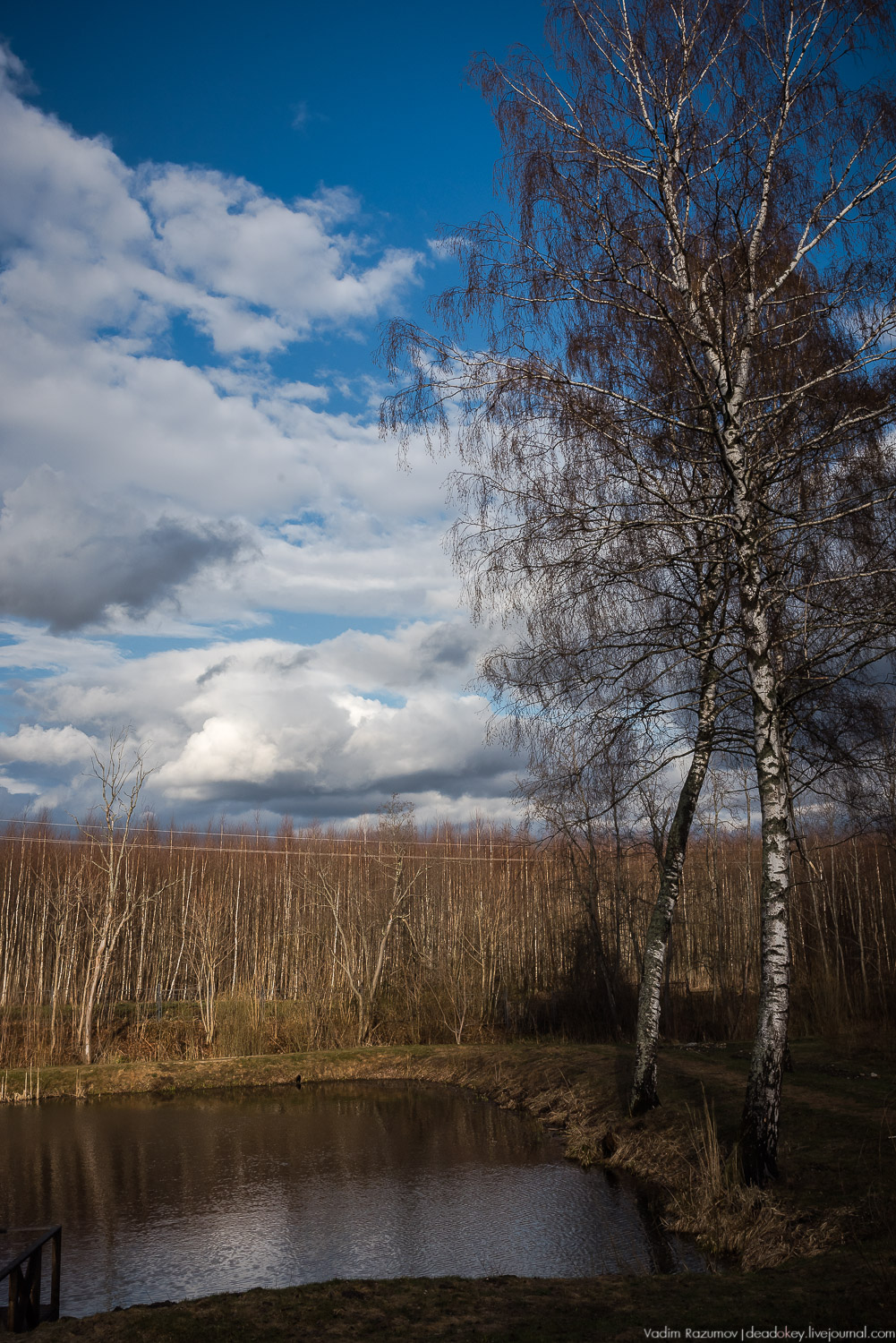 усадьба Домотканово, весна 2018 год