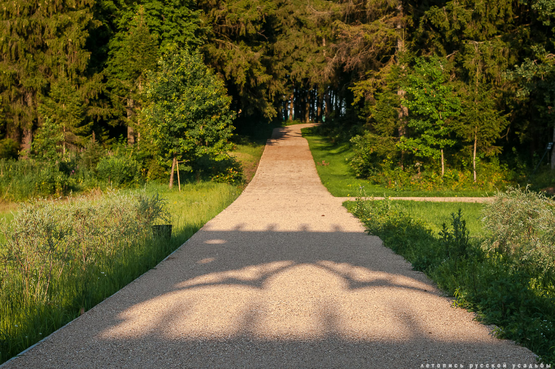 усадьба Степановское-Волосово, фотографии с дрона, шетлендский пони Трамп