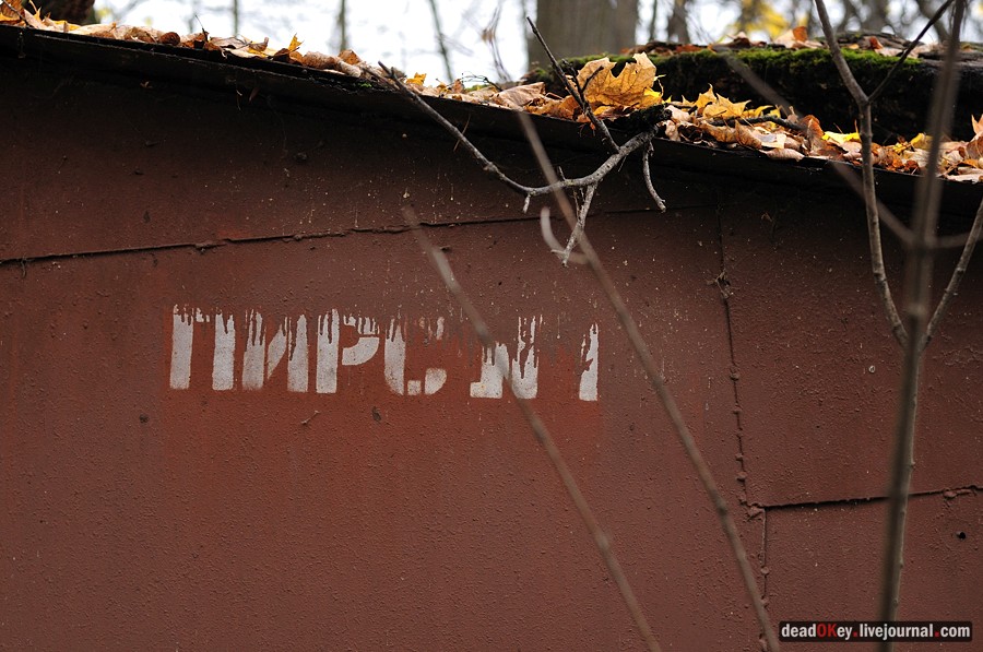 усадьба Жуково