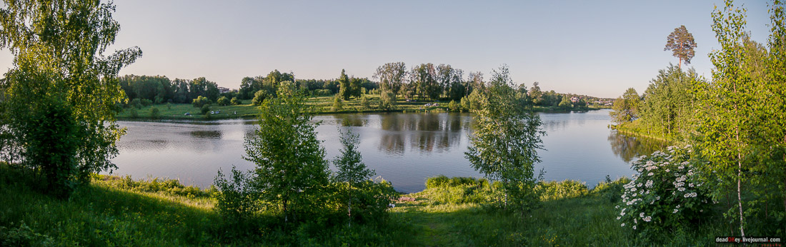 Пейзажный парк в усадьбе Гребнево