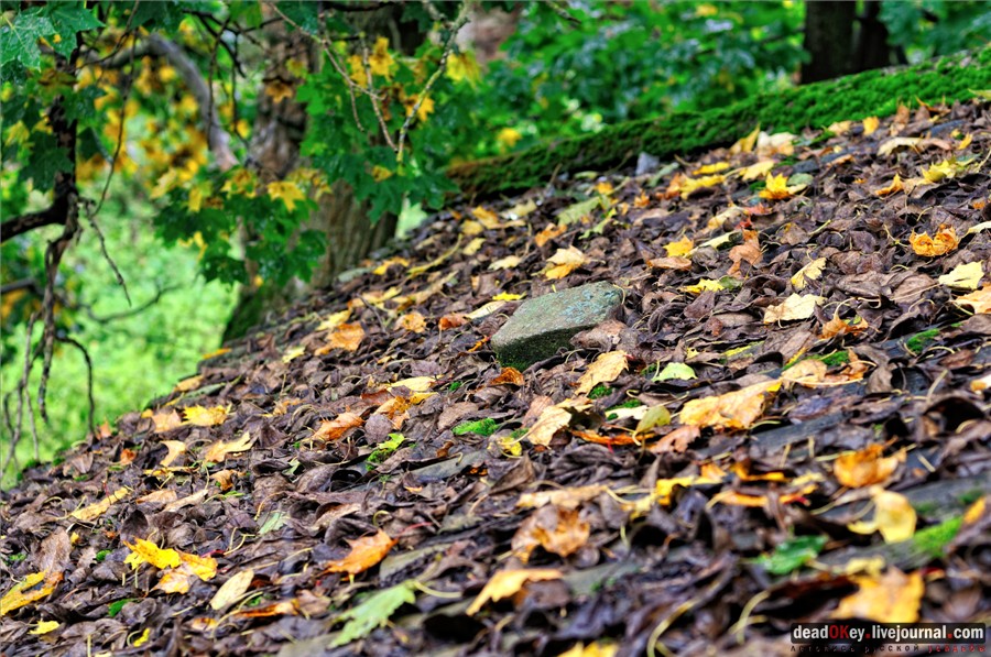 усадьба Ляхово