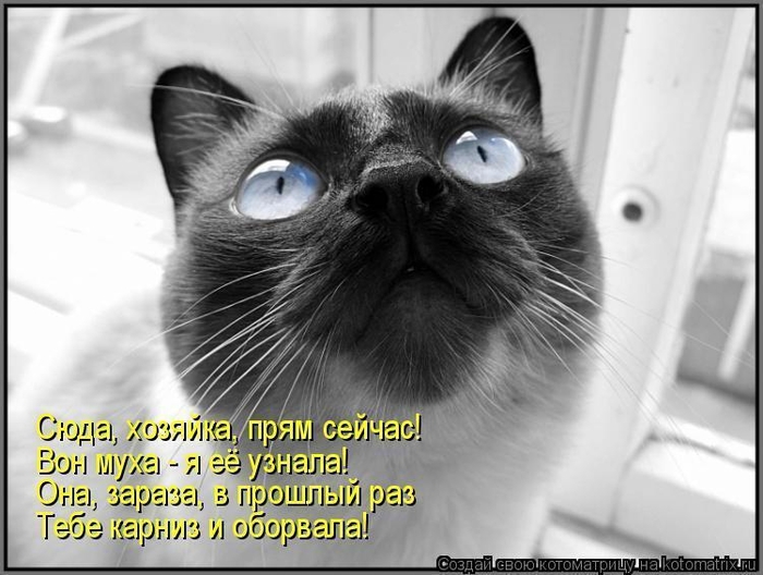 12 (700x528, 206Kb)