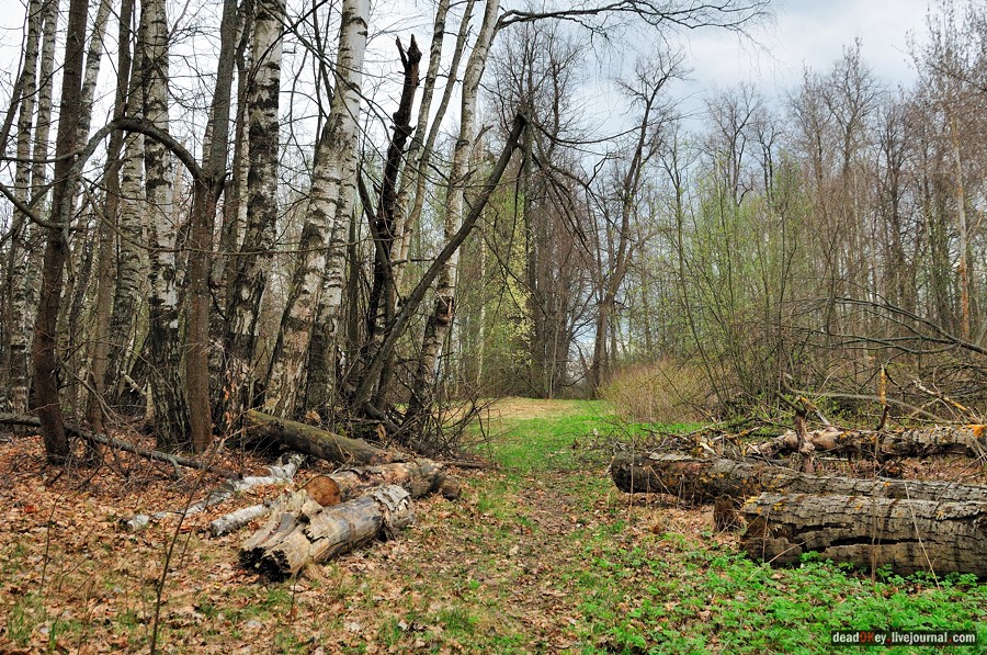 усадьба Антипино