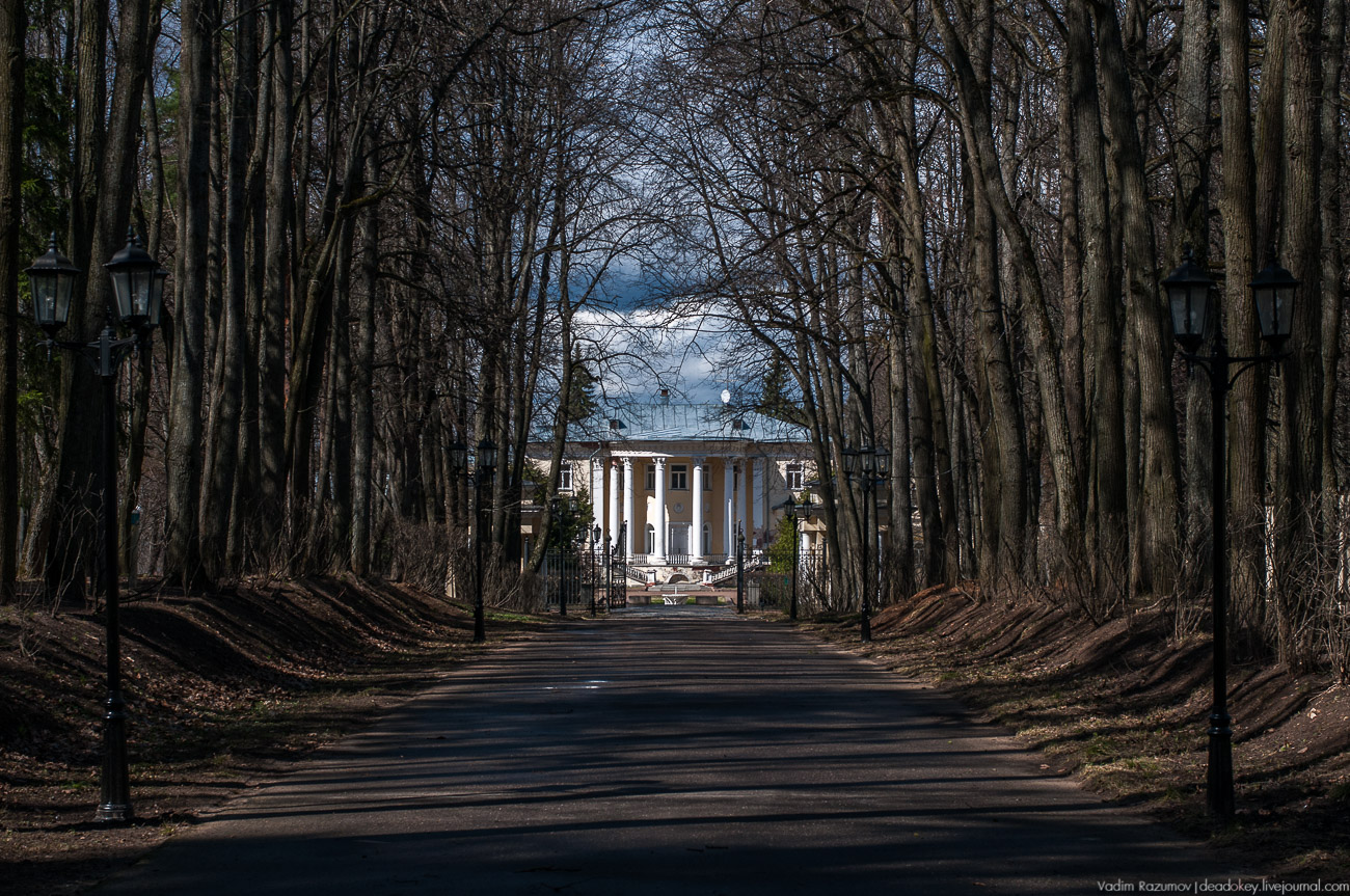 Летопись русской усадьбы. Усадьбы 2017 года