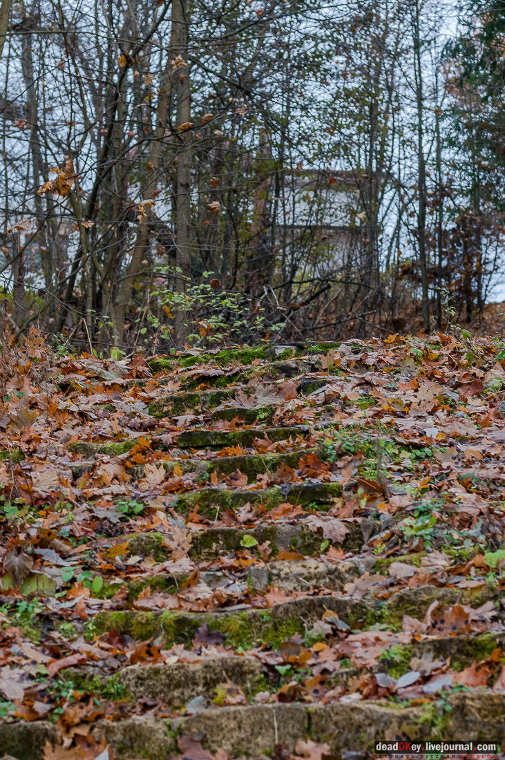 Усадьба Любвино