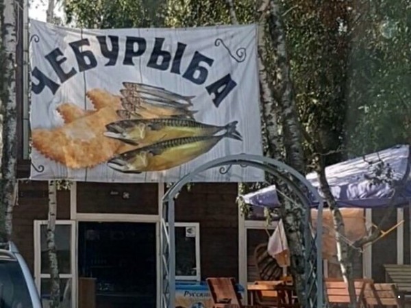 Перлы - 314 головы, Таблетка, канале, Гражданин, диване, Заряжаемся, информацию, будут, жизни, ситуации, прикольные, всяческие, ТикТоке, читаем, интересную, познавательную, хорошим, околополитические, обсуждаем, языком