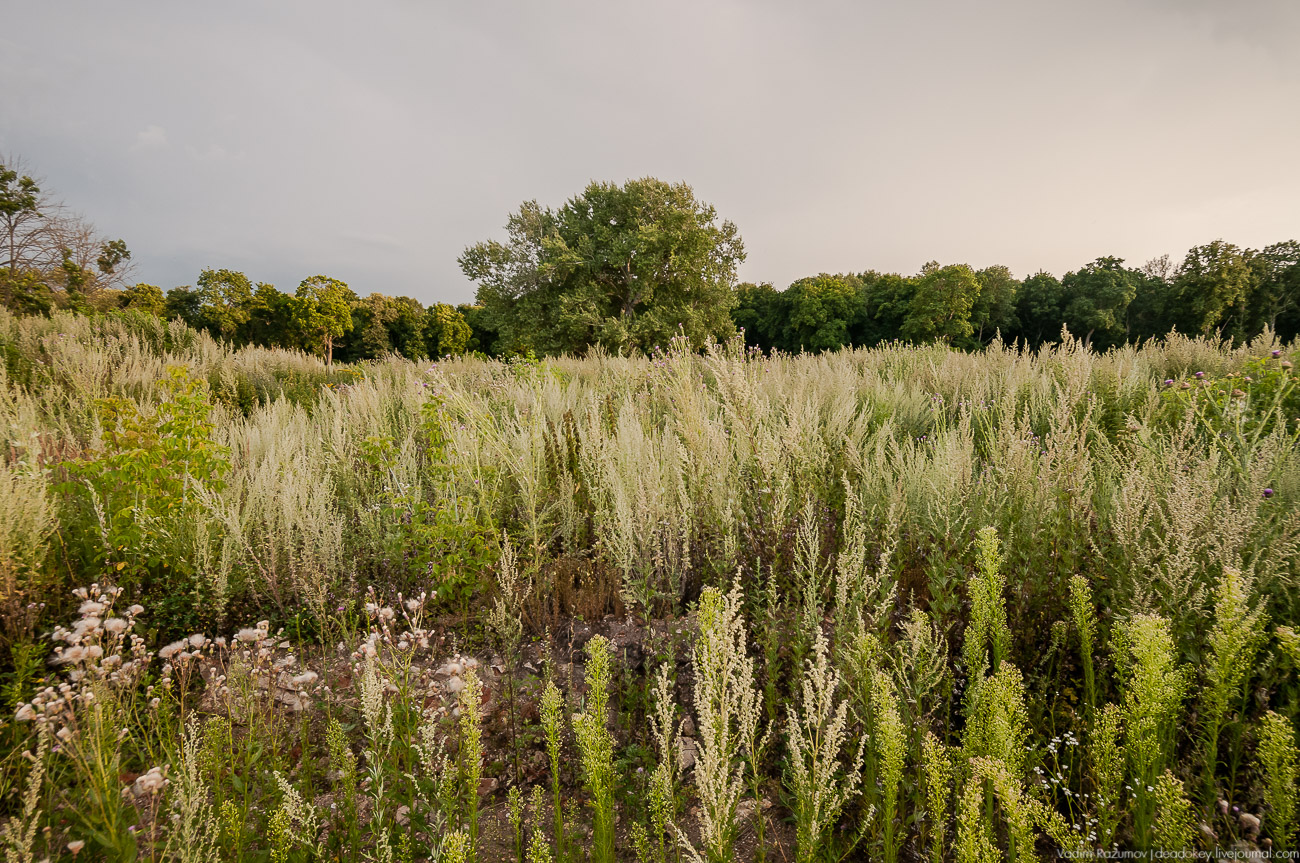 усадьба Колодезское