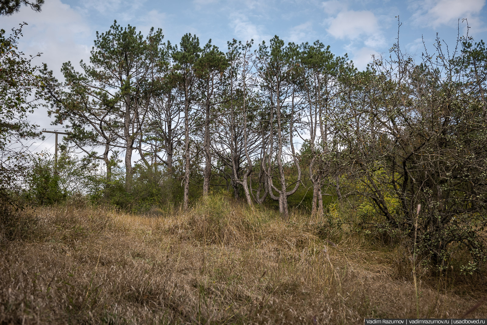 усадьба Кесслеров-Ферсмана, Крым, Симферополь