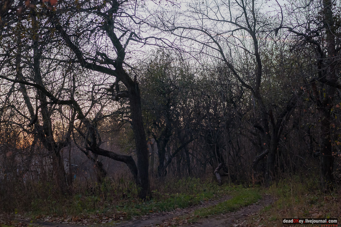усадьба Баловнево