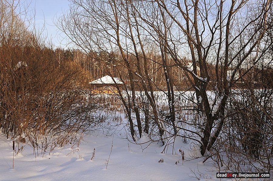 усадьба Осеченки