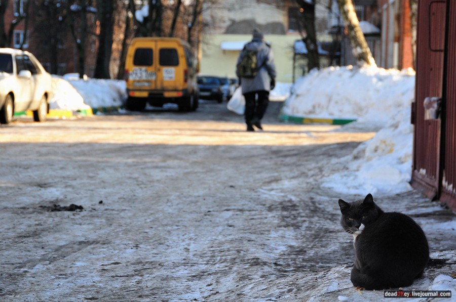 усадьба Петровское-Лобаново