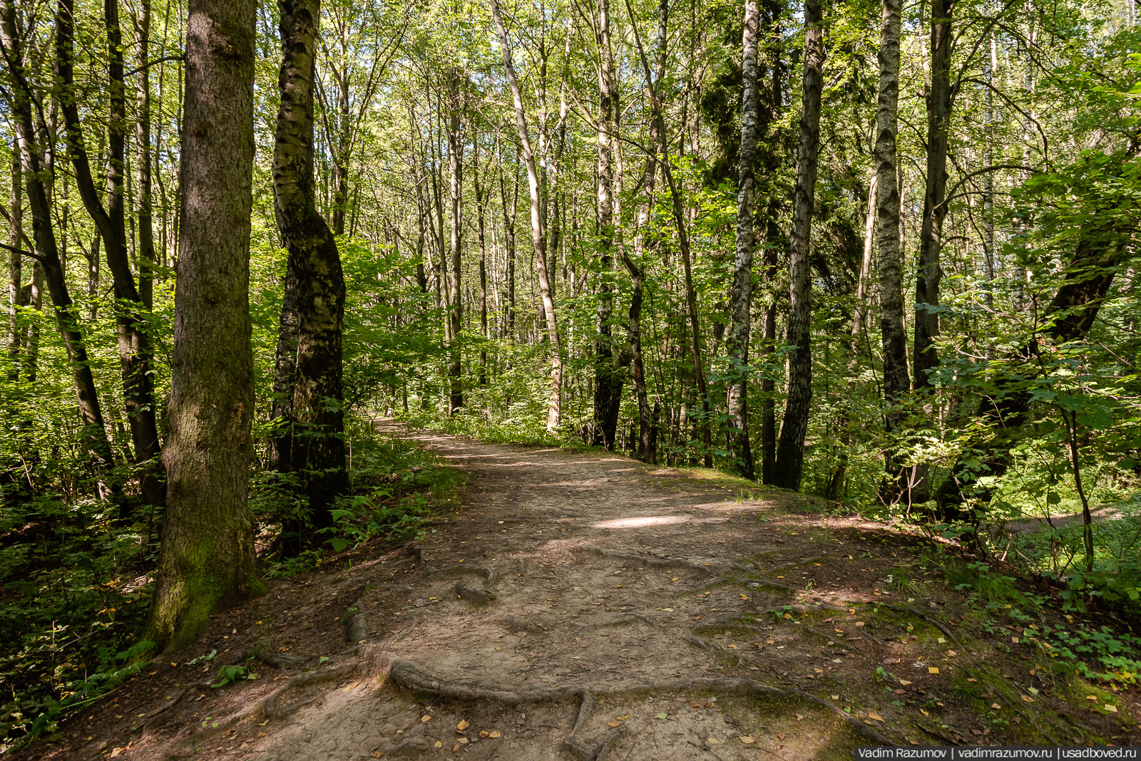Усадьба Заболотье, парк, курганы, Долгопрудный, Москва