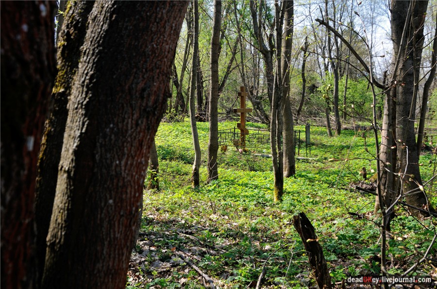 усадьба Андреевское-Туркино (Перематкино)