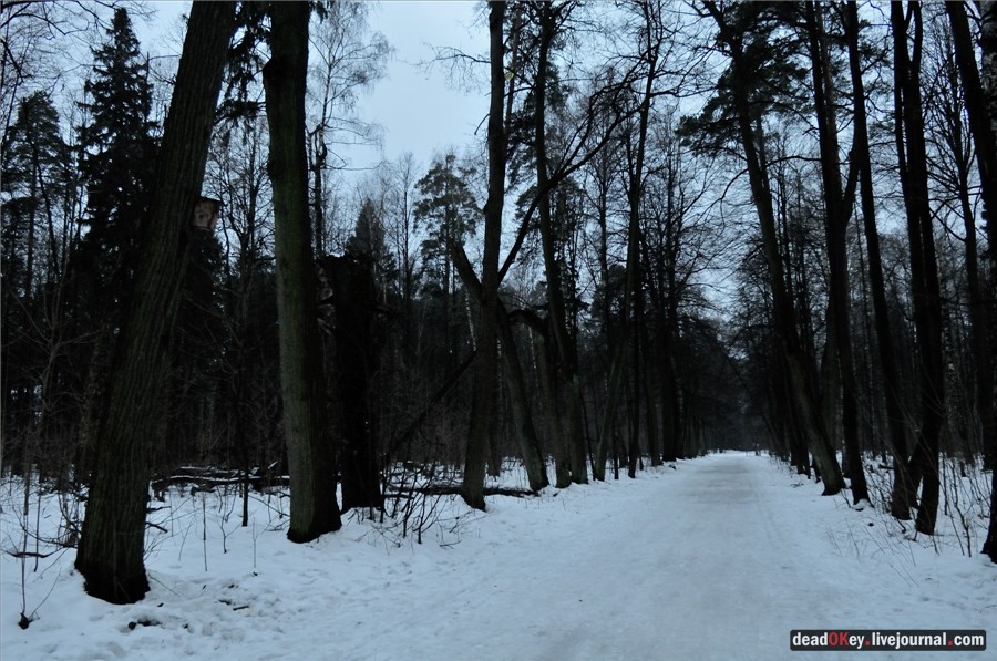 усадьба Пехра-Яковлевское