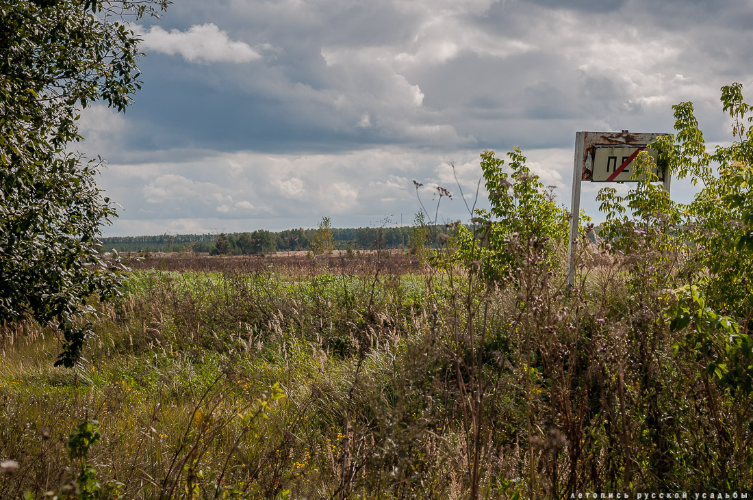 церковь Богородицы в селе Пет, Рязанская область, Пителинский район