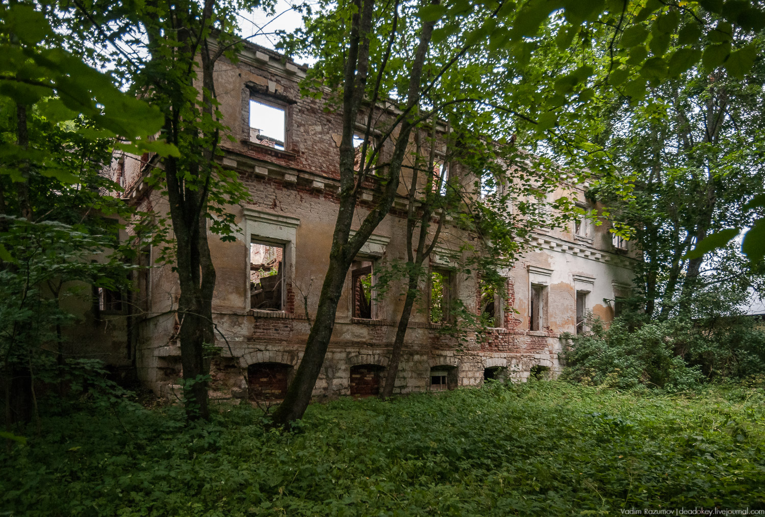 усадьба Красное Полторацких, Преображенская церковь Фельтена, Старицкий район, Тверская область