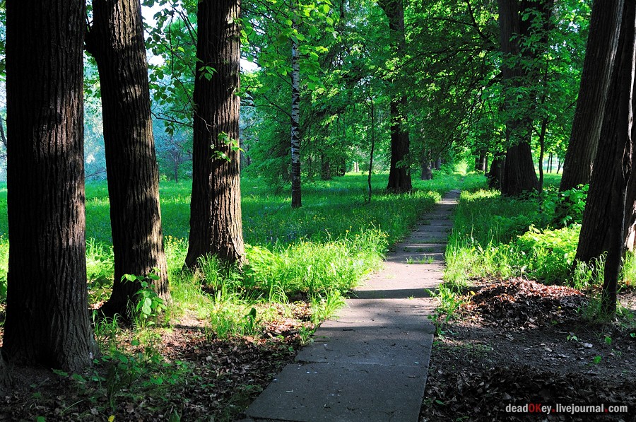 усадьба Богословское-Могильцы