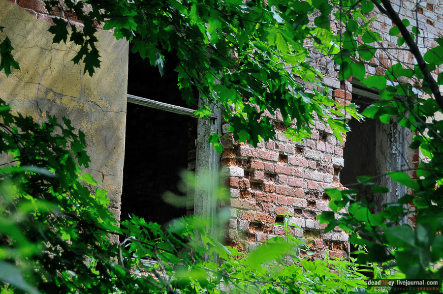 усадьба Матыра