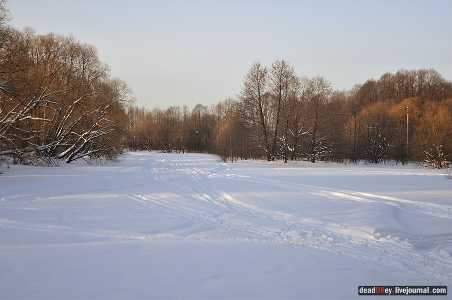 усадьба Зюзино