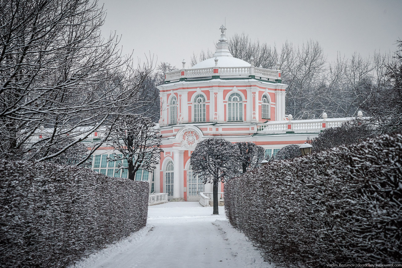 Усадьба Кусково зимой, 2018 год