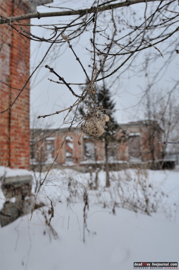 усадьба Городищи (
