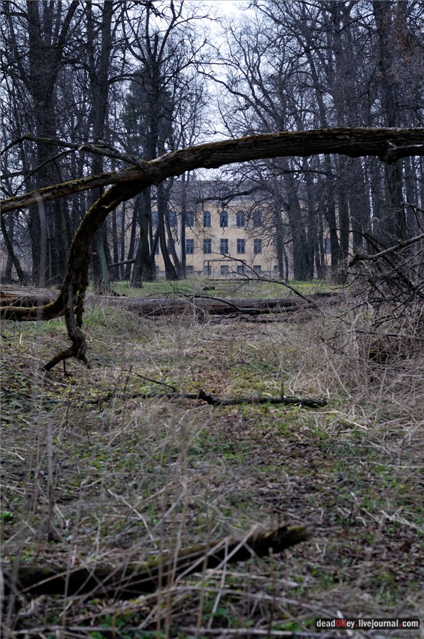 усадьба Грабцево