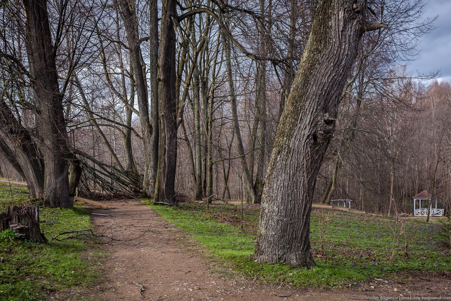 усадьба Домотканово, весна 2018 год