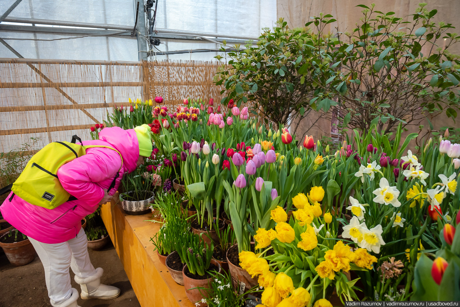 Аптекарский огород, Репетиция весны 2021, цветы, 8 Марта