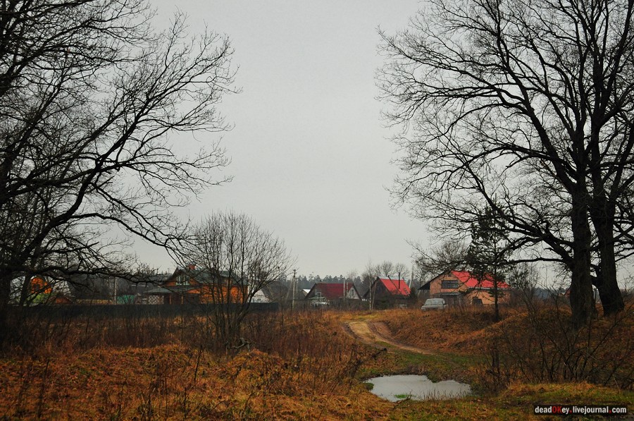 усадьба Савинское