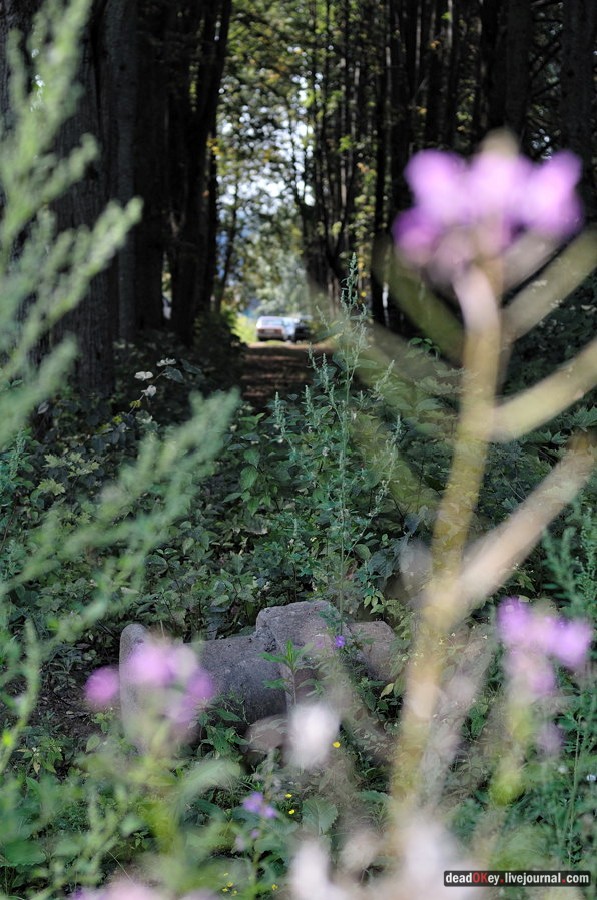 усадьба Хомяково